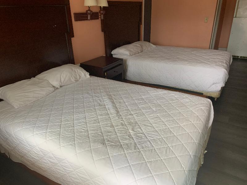 Oyo Hotel Myrtle Beach Kings Hwy エクステリア 写真